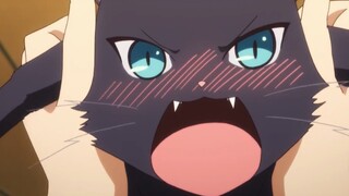 Về việc con mèo của tôi trở thành catgirl ...