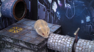 ภารกิจของหนูแฮมสเตอร์ EP 65