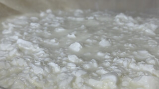 Pernahkah kamu mencoba membuat tahu dari susu?