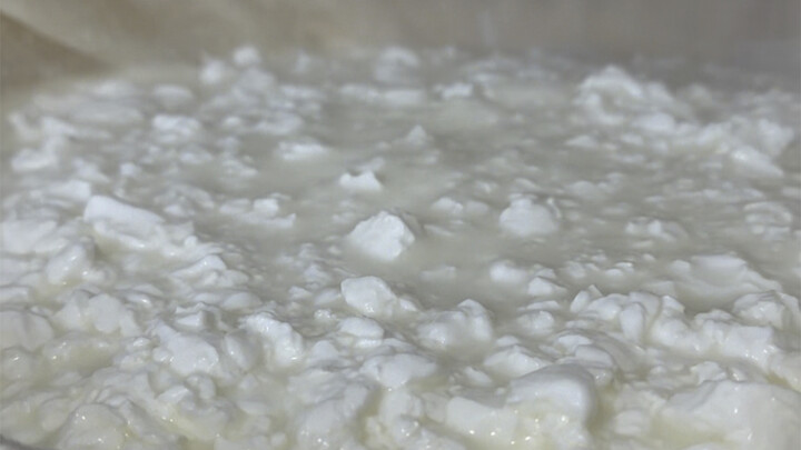 牛奶可以做豆腐吃过吗