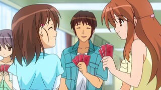 The little cutie who loves to get into bags!