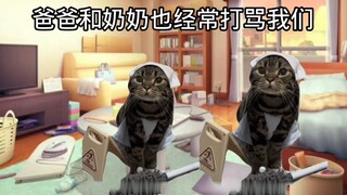 【猫meme/投稿】我们都要幸福哦💕