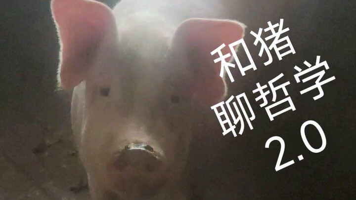 คุยกับหมูเรื่องปรัชญา 2.0