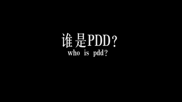 ใครคือ PDD?