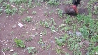 spar mag Kapatid hahah