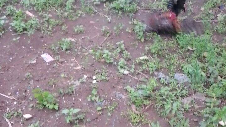 spar mag Kapatid hahah