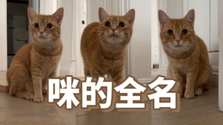 "Mom, if you have something to say, just tell me. Why are you suddenly calling me by my full name?"