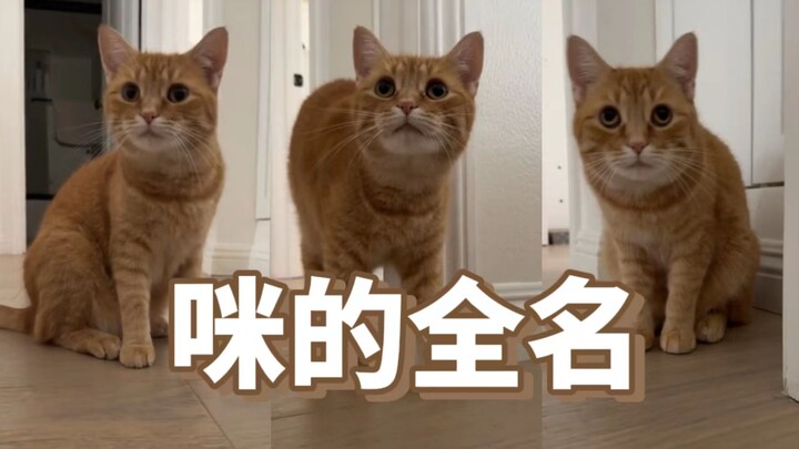 "Mom, if you have something to say, just tell me. Why are you suddenly calling me by my full name?"