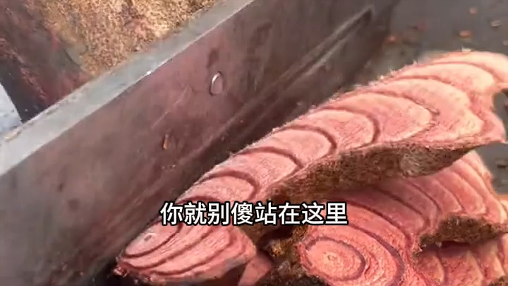 Mất tích ba năm, bạn gái hoa khôi trường đi khắp nơi nói rằng tôi đã chết