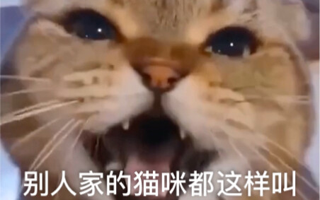 ถ้าฉันเรียกเธอ เธอกล้าตอบรับไหม