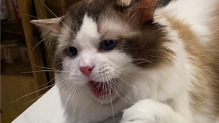 Computer: In the end, I still had to shoulder everything myself.