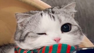 可是她喊我宝宝诶