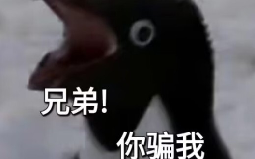 Haidilao, kamu memang mengerti orang dewasa!