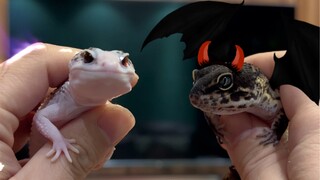 The fan and black couple have finally teamed up!