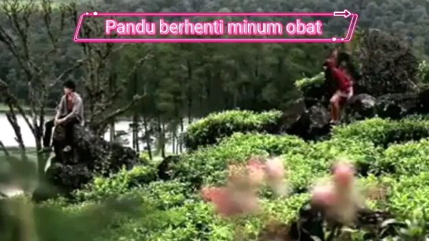 Pandu berhenti minum obat