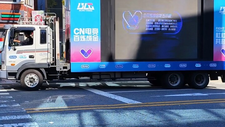 Lanjut ke Busan, Kucing! [BLG Bururu_BLG Semangat]