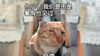 这次碰见真正的地头蛇了