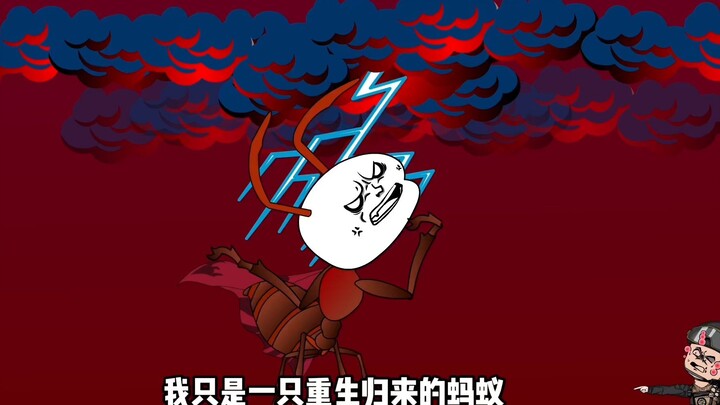 第64集，猪小强被神秘组织包围，双方进行最后谈判 （大结局）