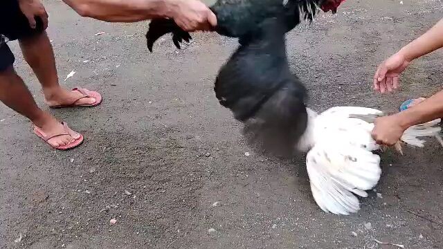 spar ni bayot😂😂😂 Hennie vs lactun