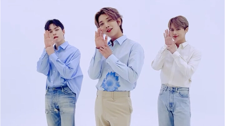 青春衬衣版darl+ing cha