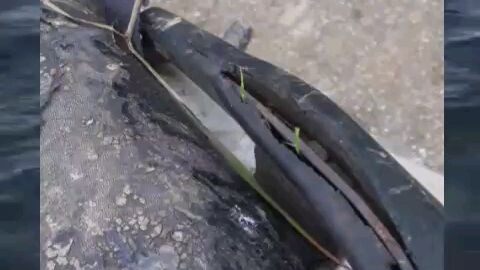 ko bt sau này nó sao nhỉ