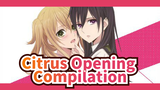 Citrus Opening Compilation