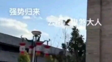 警方通报网民发布鬼煞大人短视频：3人被刑拘！