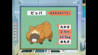 オーキド博士のポケモン大百科(ビッパ)