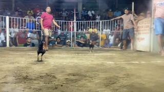 Loss second fight