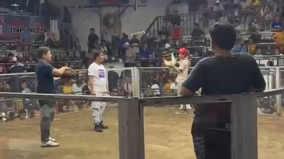 princess althea farm butcher from mt.banahaw gamefarm-- Champion po sila at fastest kill.