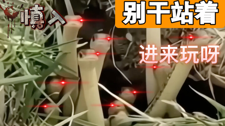 Jangan bilang begitu, dia malah lucu banget kalau diam!!