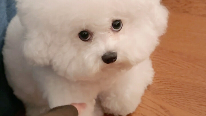 ماذا أفعل، يبدو أنه لا يمكن إرضاؤه بسهولة