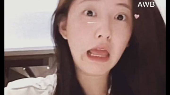 Zhao lusi