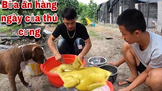 Đàn Thú Cưng Của Săn Bắt Ẩm Thực Vùng Cao Ăn Một Bữa Hết Bao Nhiêu ???