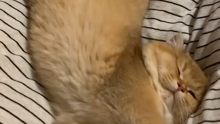 Sleep where you fall
