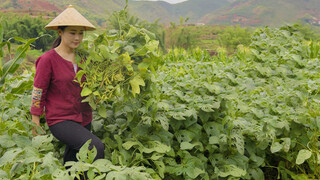 2 Ways to Eat Green Soy Beans