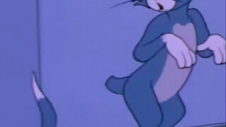 Đuôi của Tom đã bị cắt mất