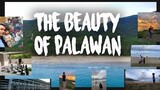 THE BEAUTY OF PALAWAN - PUERTO PRINCESA ESCAPADE