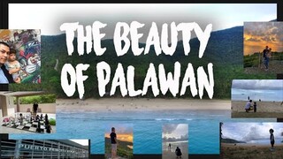 THE BEAUTY OF PALAWAN - PUERTO PRINCESA ESCAPADE