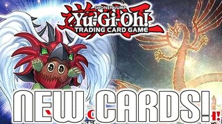 NEW HERO KURIBOH! & Crimson Dragon! Yu-Gi-Oh! Quarter Century Duelist Box