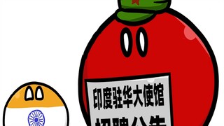 【波兰球】印度招聘