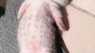 ang himbing ng tulog ko