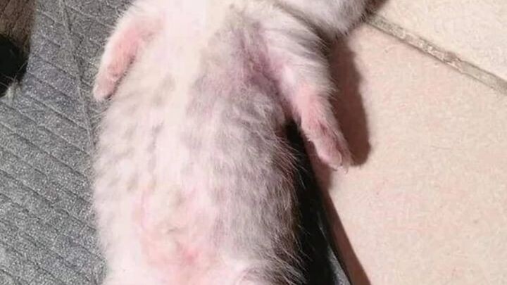 ang himbing ng tulog ko