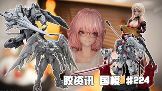 【胶资讯 国模】2/23~3/1新胶资讯，和模线的正比铁啸猫，蜗之壳的休假兔女郎~