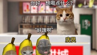 当你在奶茶店犯低血糖时
