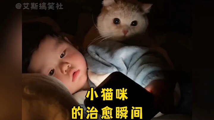 บนโลกนี้มีสิ่งมีชีวิตน่ารักขนาดนี้ด้วยเหรอออ! ความเหนื่อยล้าจากงานหายไปหมดเลย～
