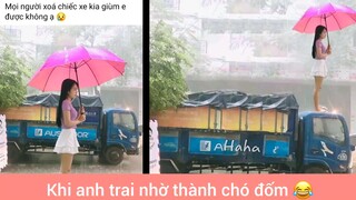 Khi anh trai nhờ thành chó đốm