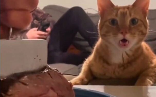 “Aren’t you even thinking about letting me have a bite???”