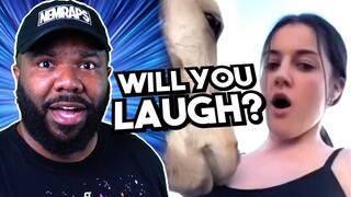 Will You Laugh!? - NemRaps Try Not to laugh 353