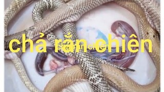 Biển nguyễn ngọc.chả rắn chiên.cá chép nấu dưa sắn muối chua.ông em ở Bắc Giang về dao lưu